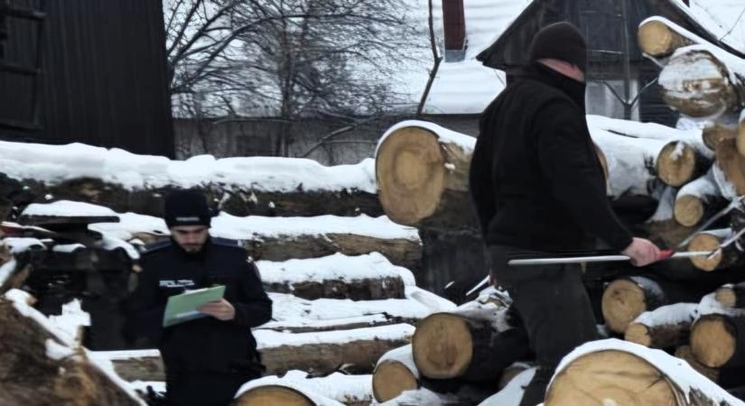 Illegális faanyag és közlekedési szabálysértések: razziáztak Hargita megyében