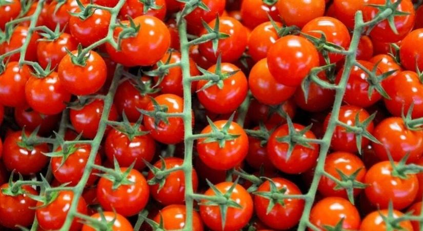 Ne fogyassza el! Üveget találtak egy Olaszországból származó paradicsomszószban