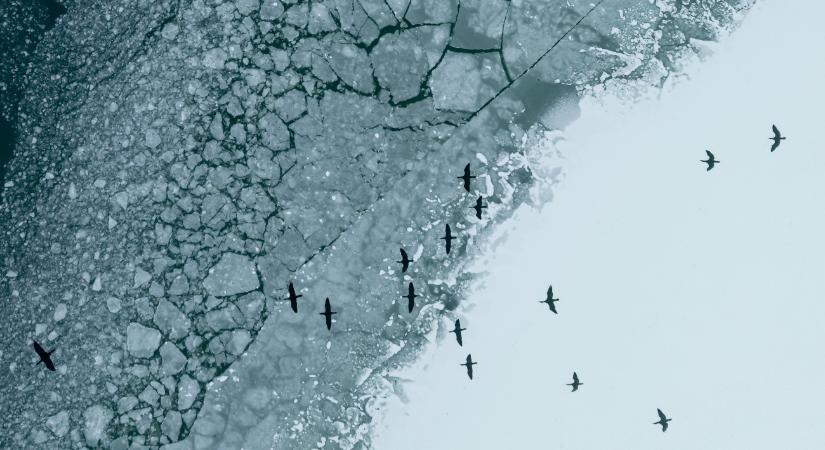 Mukics Dániel: a legtöbb helyen nem szabad a jégre menni a tavainkon, folyóinkon