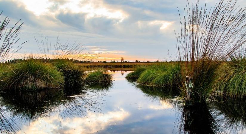 2025 jogszabályi mérlege: mit kell tudni a vízgazdálkodási jogszabályok változásáról?