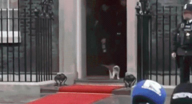 Váratlan vendég zavarta meg a lengyel elnök londoni látogatását