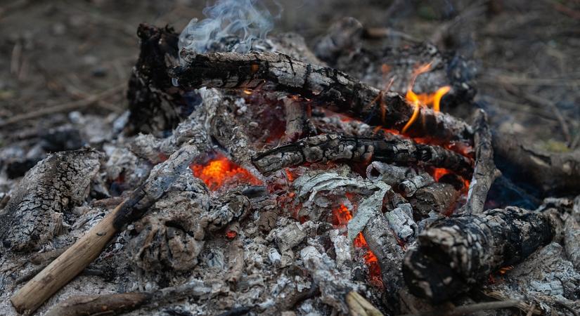 Hamu a kertben: 4 hely, ahová januárban se kerüljön