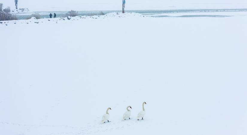 A rendőrség is megszólalt a Balaton jegéről