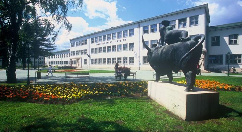 Öntözéstől a komposztig – minden megtanulható most a Debreceni Egyetem szervezésében