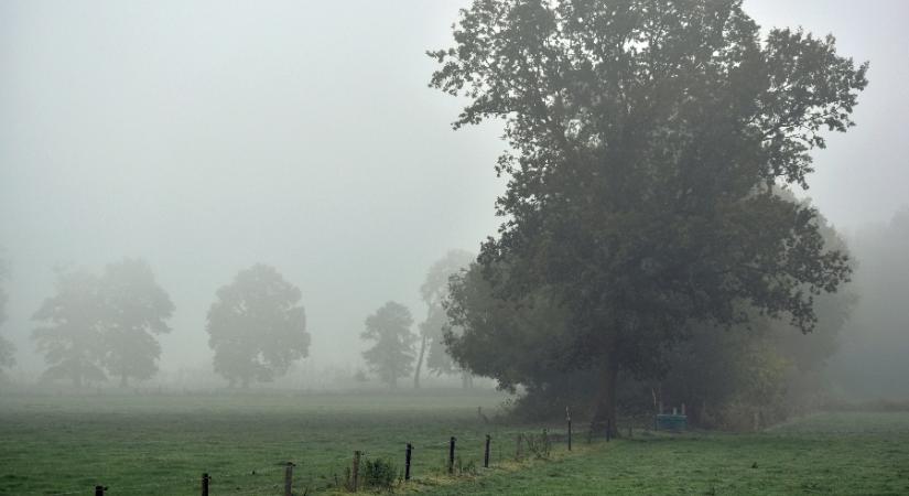 Sűrűsödik a köd, több megyére figyelmeztetést adtak ki