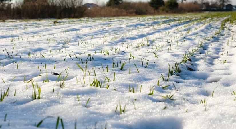Agrometeorológia: A tél eddig a gazdák oldalán állt – mi lesz a folytatás?