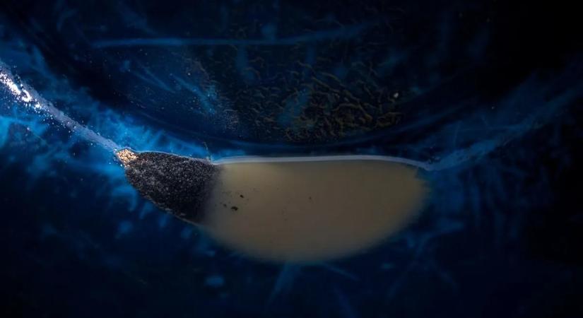 Elnököt választott a csodaország, ahol tízszer annyi aranyat adnak el, mint amennyit termelnek