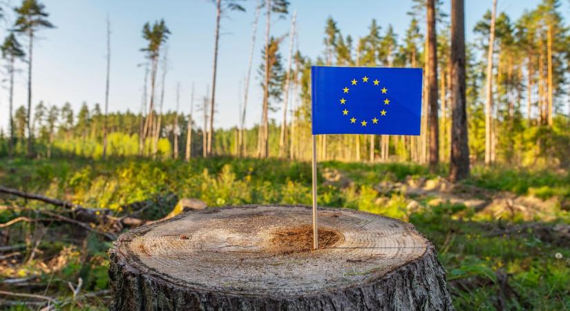 Az európai emberek miatt nem tudunk harcolni a klímaváltozás ellen?