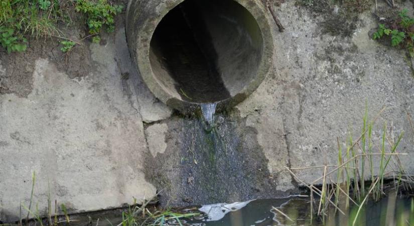 41-féle gyógyszert mutattak ki a Balaton veséjében: kiderült, mi történik a fürdővárosokból érkező vízzel