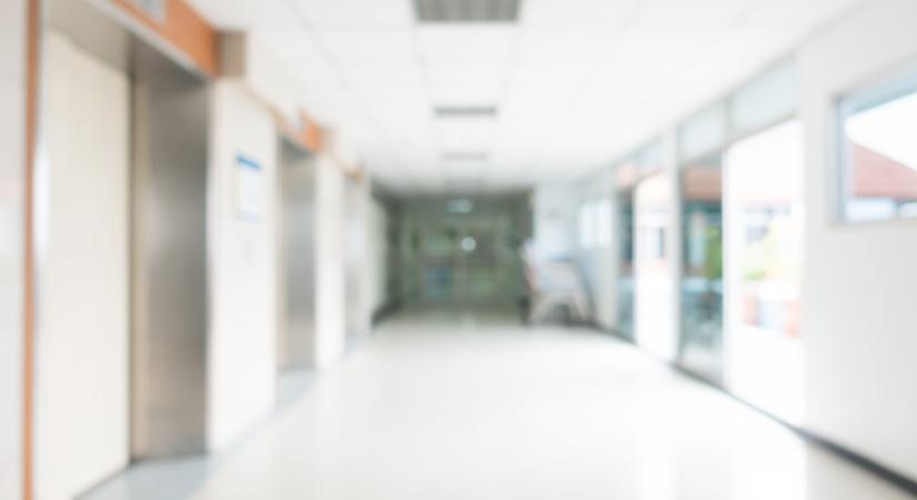 Rekordszámú élődonoros veseátültetés hazánkban