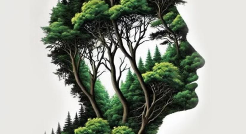 Személyiségteszt: Mit látott meg legelőször? Felfedi, mennyire introvertált