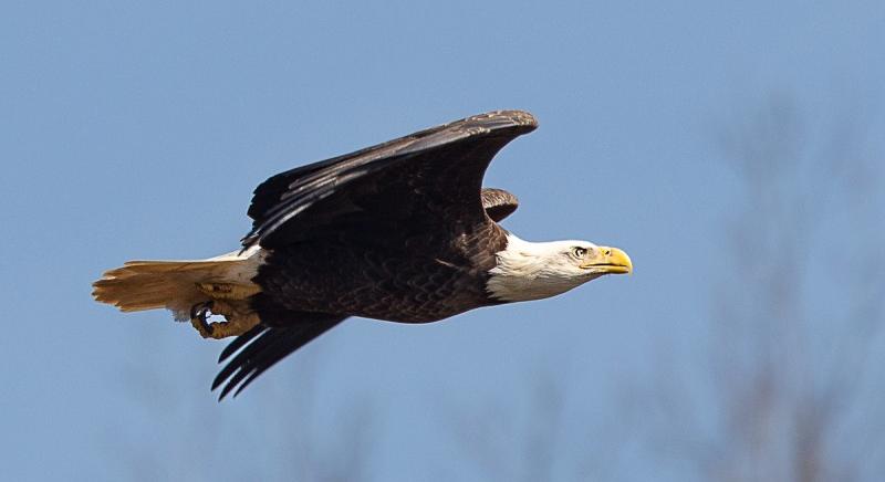 Teljes az őrület, ezért szárnyal az ICP, mégis mi történik ezzel a tokennel?!