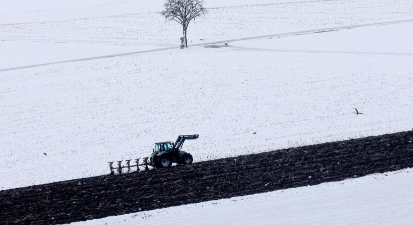 Áldás vagy átok a mezőgazdaság számára a kemény fagy és a rengeteg hó?
