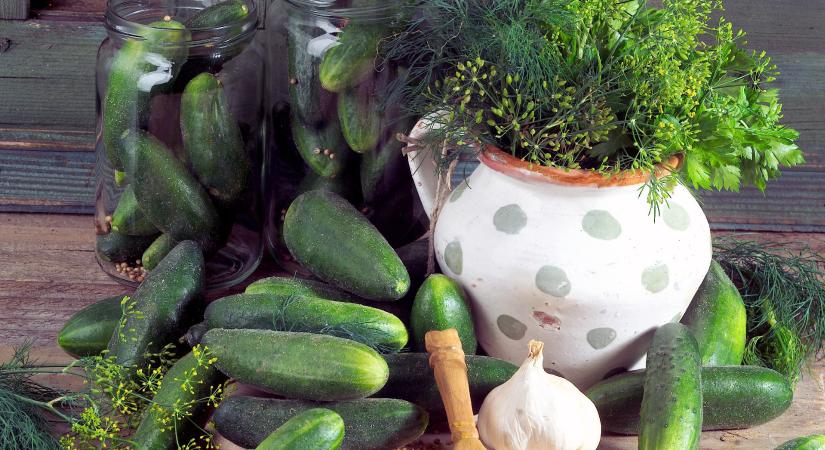 Síkosságmentesítés uborkalével?