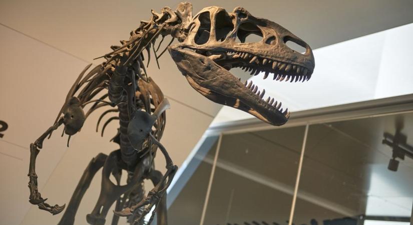 T. rex: későn érő típus