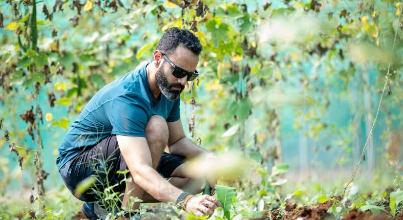 Változások a gazdaságátadás szabályaiban