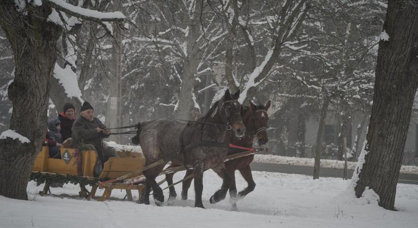 Álmodott egy nagyot a családi vállalkozás, a kikapcsolódás 4 évszakos szigete lett ez a hevesi környék