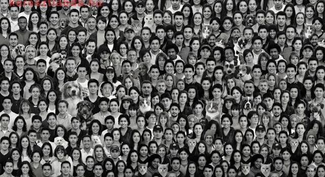 Napi agykarbantartó feladat: A legtöbben macskát számolnak, pedig kutyát kérdeztünk!