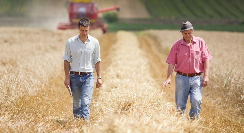 Módosult a gazdaságátadás jogi keretrendszere – mire kell figyelni?