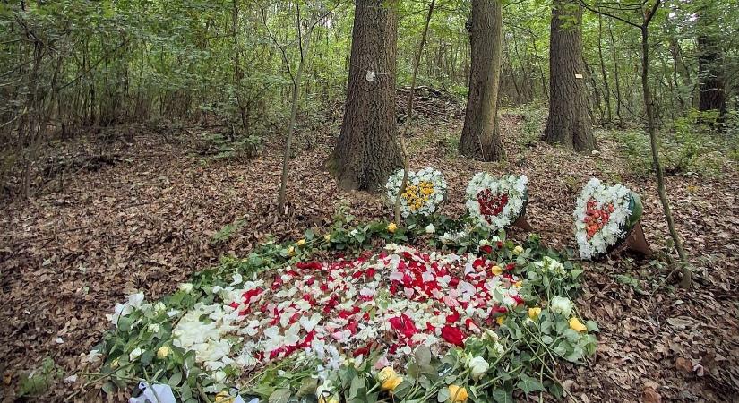 Zöld temetkezés Magyarországon: mit jelent az emlékerdő?
