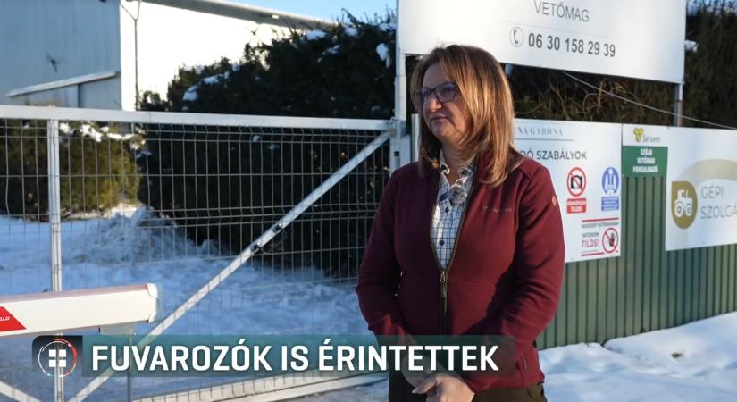 Bászna Gabona: egyre több a károsult, fuvarozók is érintettek a csődben