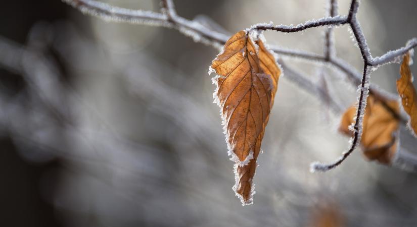 A leghidegebb teleket okozó Vojejkov-tengely jöhet létre Európa felett