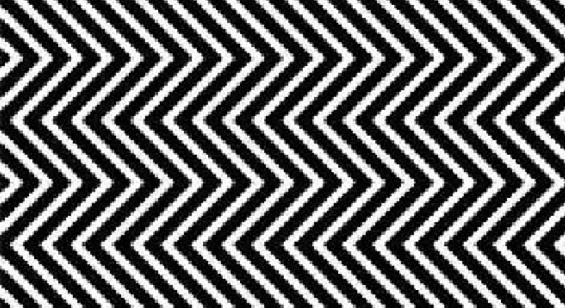 Kizárólag a magas IQ-val rendelkezők veszik észre azonnal a lényeget ezen a képen