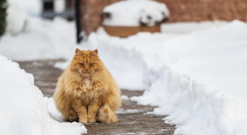 Fagyos, szeles fordulat jön Tatabányán a hétvégén