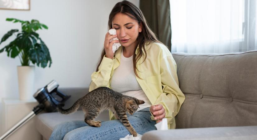 Mit tehetünk a kisállat allergia tüneteinek csökkentéséért?