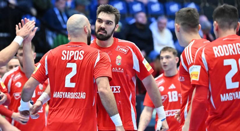 Rosta Miklós: Keményen védekeztek, ütöttek, vágtak minket