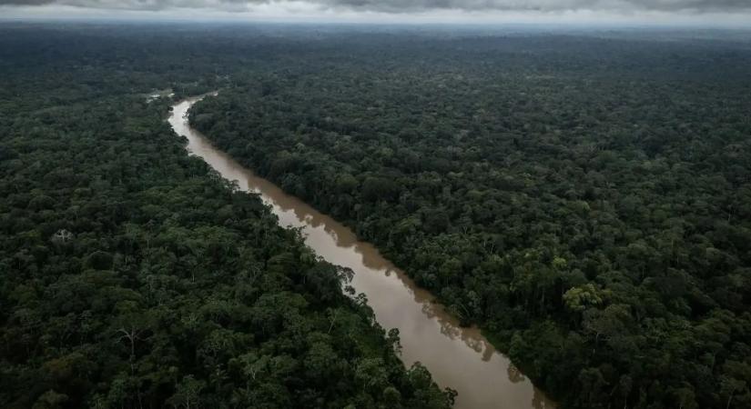 Soha nem látott felvétel: elszigetelt amazóniai törzset vettek videóra