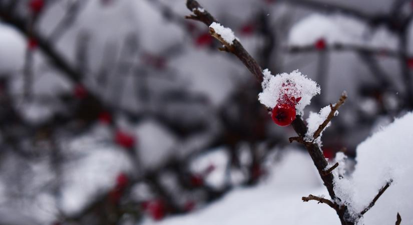 Agrometeorológia: kedvező a hó a növények számára