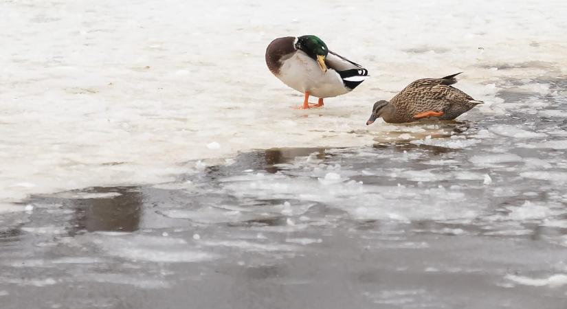A hét utolsó napjára kisüthet a nap, addig viszont borongós idő várható