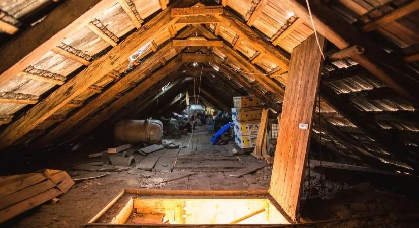 Van trükk az ingyenes padlásszigetelésben? Így működik valójában a program