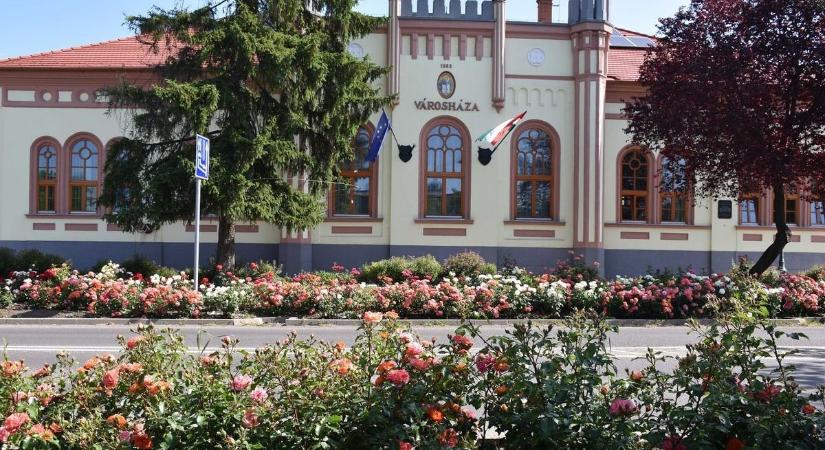 Vásárlási utalványt kapnak azok, akik részt vesznek az országos felmérésében