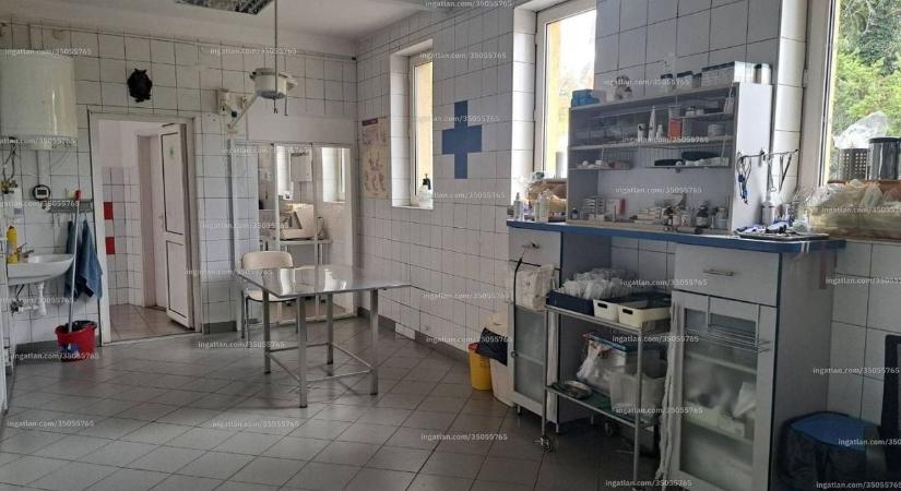 Eladásra hirdetik az egri állatkórházat