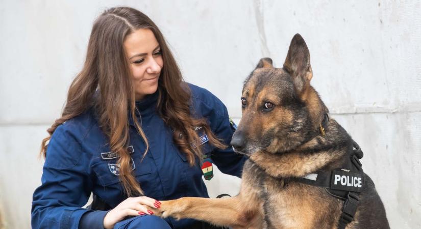 Beteg, idős, rehabilitációra szoruló kutyáknak segít szabadidejében az ágasegyházi rendőrnő – fotók