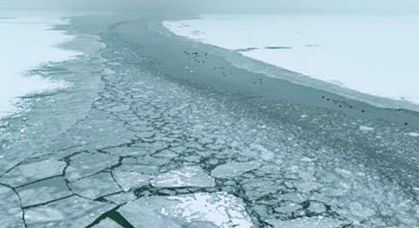 Veszélyes a Balaton jege: hiába a 12 cm, itt bármikor beszakadhat