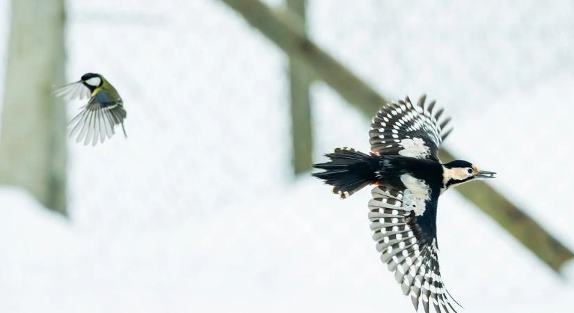 Borult idővel indul a hétvége