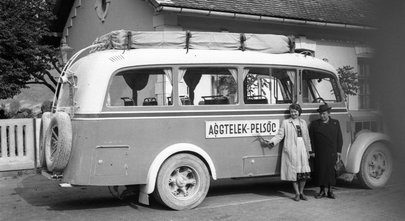 Ritka Rába autóbuszok kerültek eladósorba