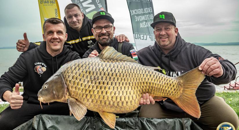 IBCC Nemzetközi Balatoni Pontyfogó Kupa