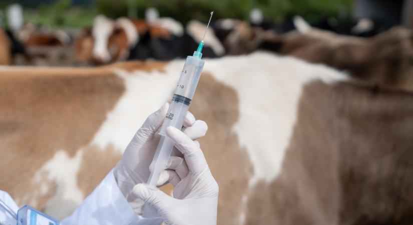 Itt a figyelmeztetés: ezt sok magyarnak el kell intézni március 1-ig