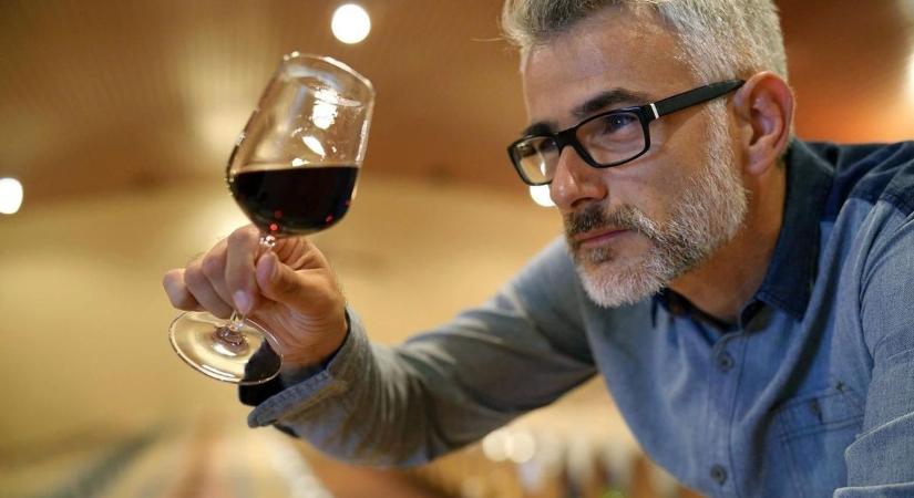 Újabb lépések, hogy a Szekszárdi Bikavér hungarikum lehessen