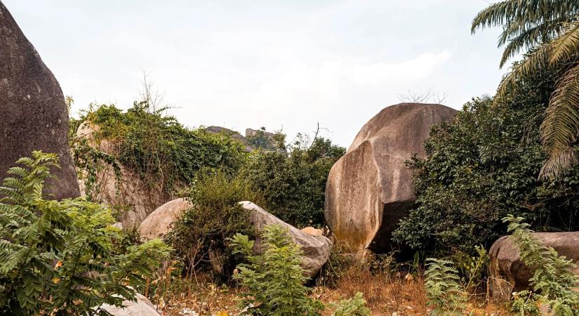 Hihetetlen felfedezés: 60 000 éves nyíl még ma is halálos mérget tartalmaz!