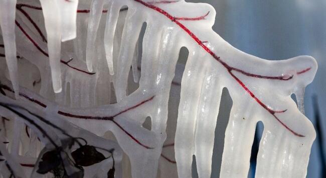 Kemény tél az idei - Vasárnap estétől extrém hideg várható