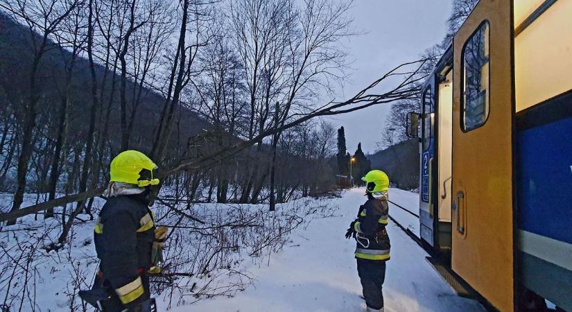 Vonattal mentek a tűzoltók a Bakonyban menteni (fotók  videó)