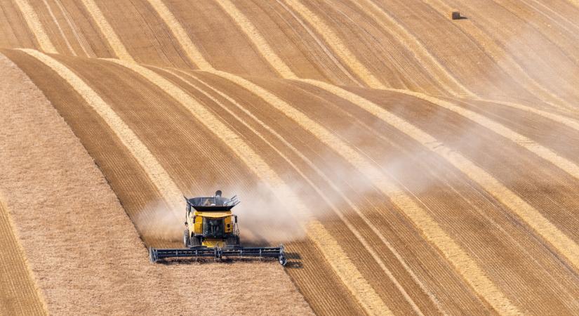 Az a gazda, aki ezt nem lépi meg idén, lehúzhatja a rolót?