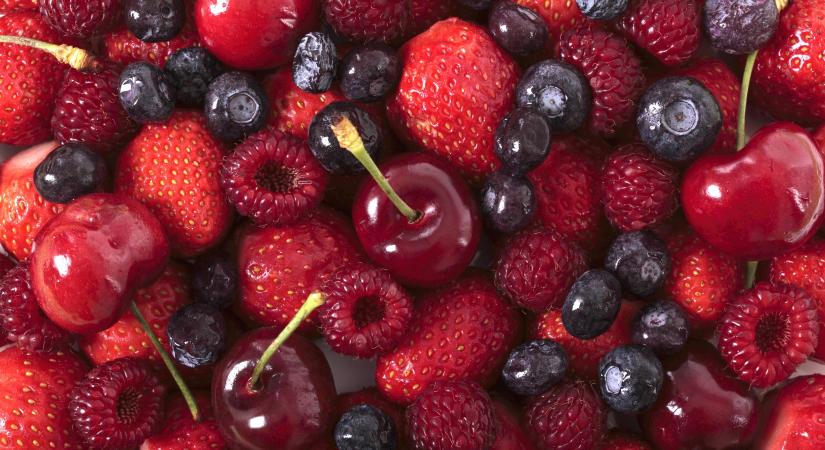 A kertész télen sem pihen: Számvetés és előre tervezés