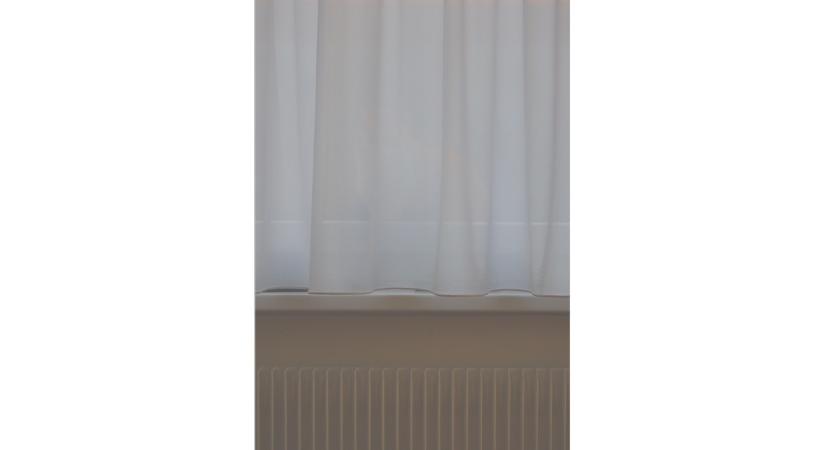 Optikai illúzió: ha 10 másodperc alatt megtalálja az állatot a képen, önnek rendkívüli képességei vannak