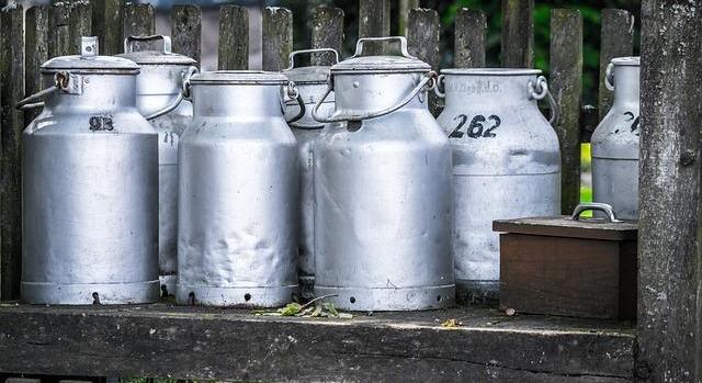 Tej kontra növényi italok: nagy különbségek a karbonlábnyomban és a vízigényben